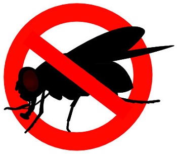 Использование отпугивателя — гораздо более простой, эффективный и гуманный способ избавиться от надоедливых мух, нежели регулярная