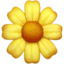 🌼