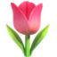 🌷