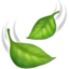 🍃