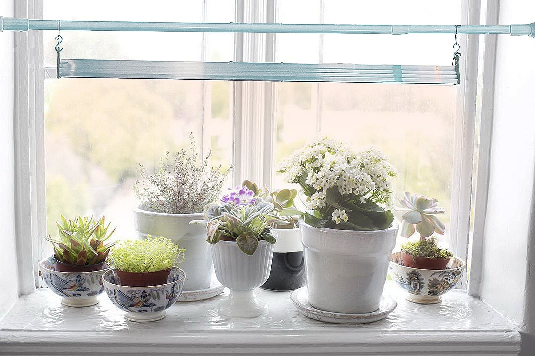 windowsill-planter-05wad.jpg