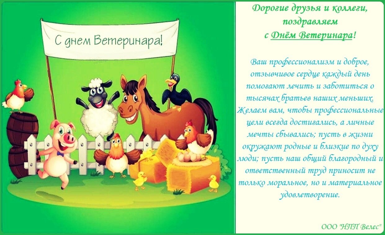 О нас - фото pic_0a11eac374c47f09b91592e31ccd4fb8_1920x9000_1.jpg