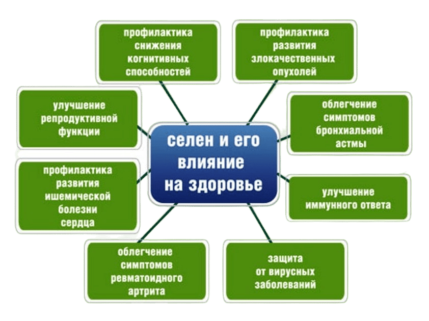 Что дает селен. Силен для чего нужен организму. Чем полезен селен для организма человека. Селен для чего нужен организму.