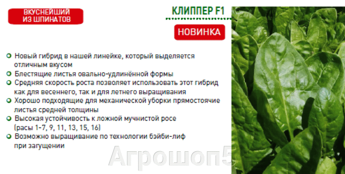 Агрошоп Интернет Магазин Барнаул
