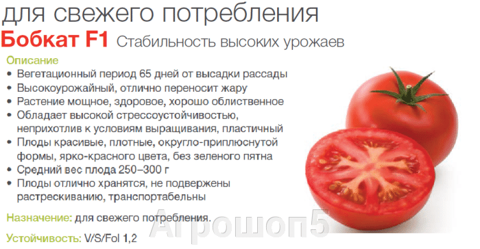 Урожайность томата бобкат. Томат Бобкат ф1. Помидоры Бобкат описание сорта. Бобкат f1 томат описание. Томат Бобкат f1.