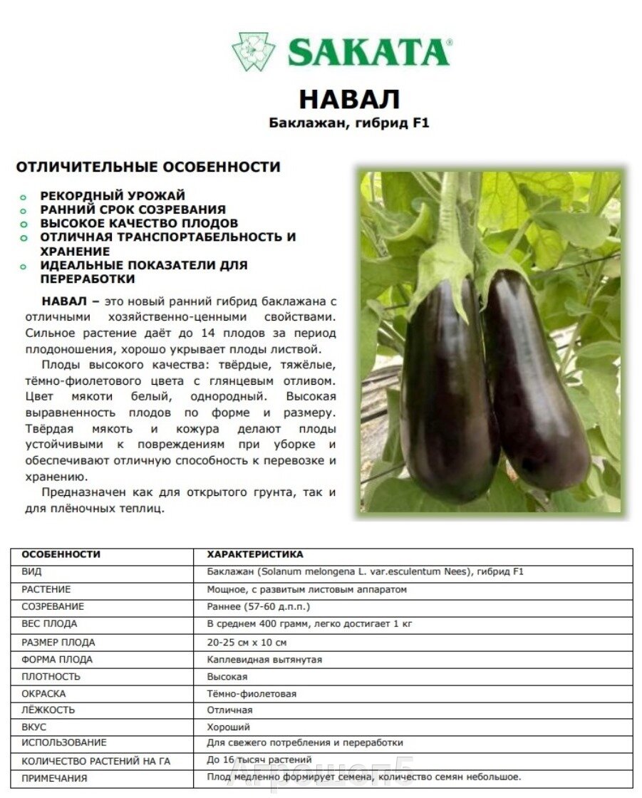 Баклажан навал описание сорта фото отзывы садоводов 4940 руб. Баклажан Навал Nawal F1. 1000 семян. Sakata. Ранний рекордно урожайный