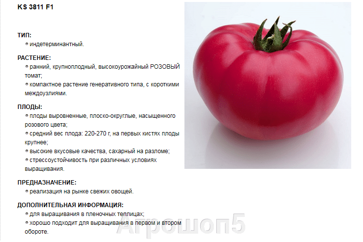 Семена Китано Купить В Интернет Магазине