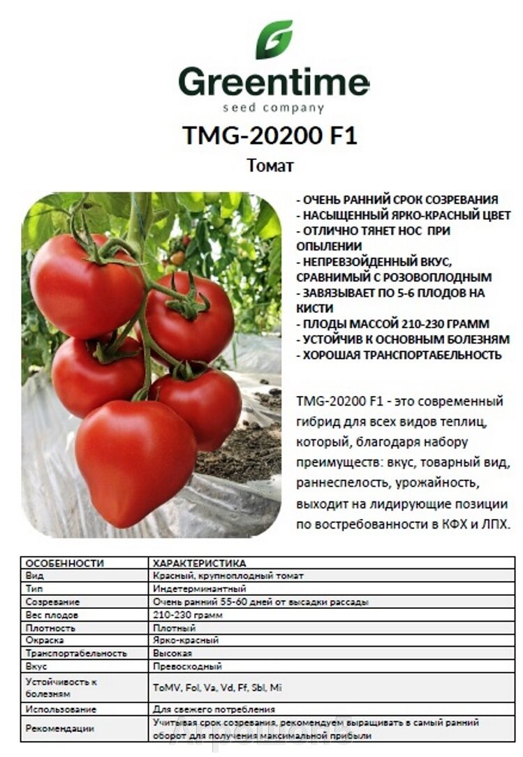 280 руб. Томат TMG-20200 F1. 50 семян. Greentime. Очень ранний красный  крупноплодный индетерминантный «носатый» томат для теплиц. Продажа по всей  России! Быстрая доставка!