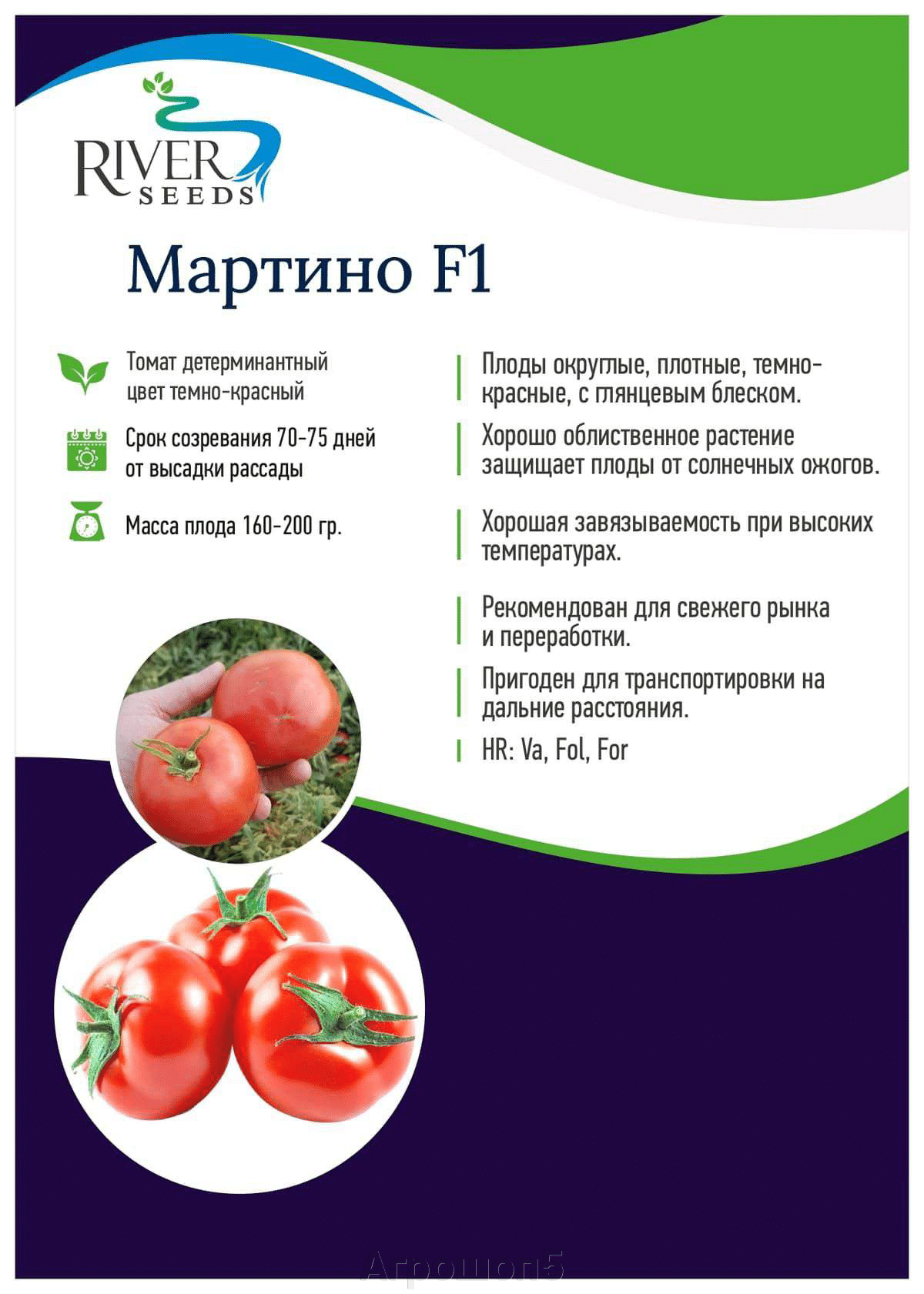 1900 руб. Томат Мартино F1. 1000 семян. River Seeds. Красный среднеплодный  детерминантный томат для открытого грунта (ОГ). Продажа по всей России!  Быстрая доставка!