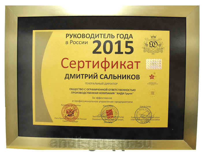 Сертификат "Руководитель года 2015"