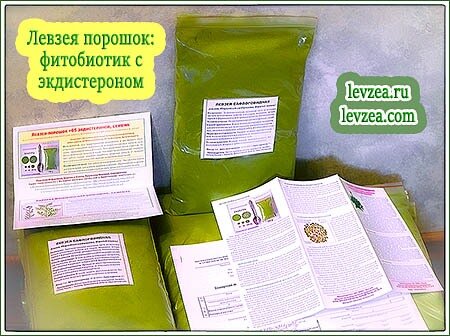 Левзея с экдистероном Левзея с экдистероном