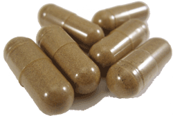 Картинки по запросу chitin capsules gif
