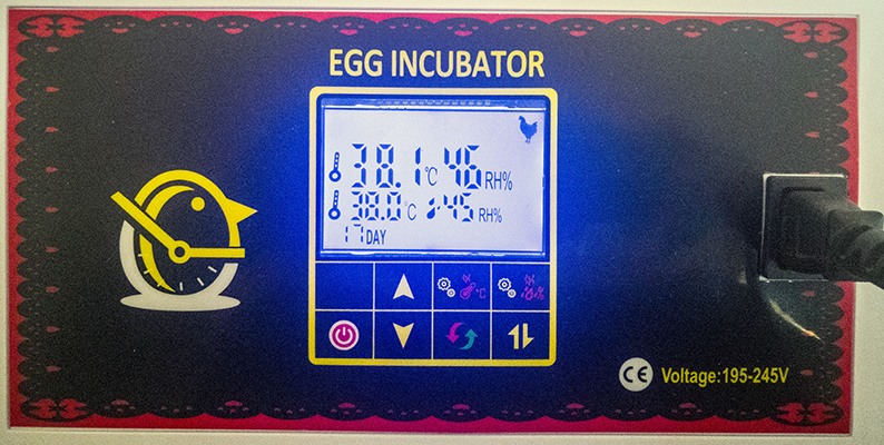 Автоматический инкубатор для яиц