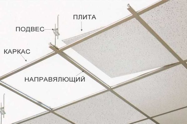 442_original.jpg