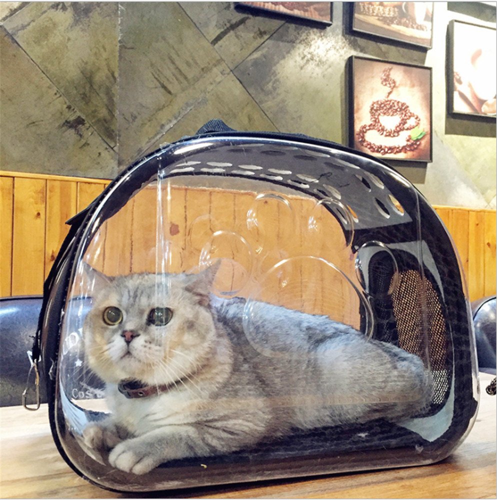 Кошка В Магазине Сумок