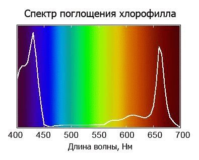 Светодиодное освещение в теплице